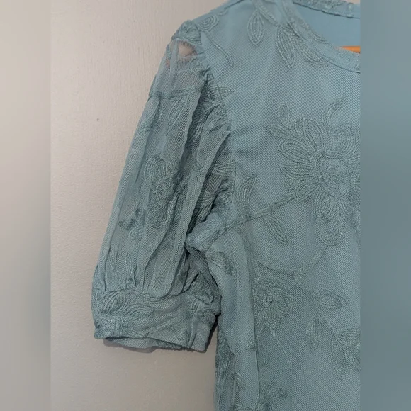Kim & Cami Los Angeles Women's Large Blue Embroidered Mesh Short Puff Sleeve Top - Picture 7 of 9